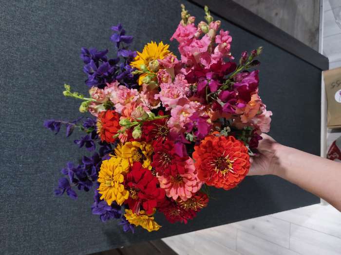 Фотография покупателя товара Семена цветов Львиный Зев Мадам Баттерфляй Три Цвета Бронзы (Madame Butterfly Bronze, White Bronze, - Фото 2