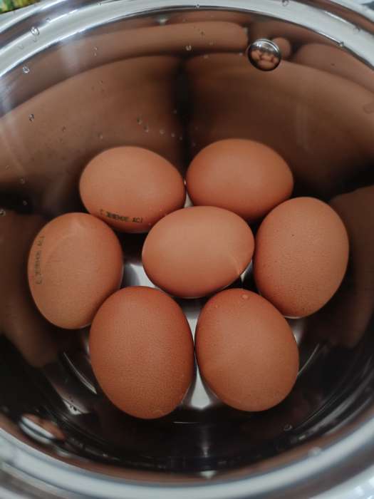 Фотография покупателя товара Кастрюля Катунь «Ирида», 3.9 л, d=20 см, с крышкой, капсульное дно, индукция, нержавеющая сталь, AISI - 201, хромированная - Фото 1