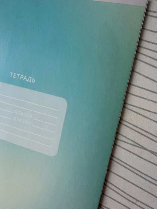 Фотография покупателя товара Тетрадь 12 листов в косую линейку, А5, на скрепке, блок №1 «Школьные принадлежности» МИКС - Фото 13