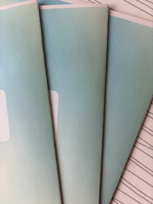 Фотография покупателя товара Тетрадь 12 листов в косую линейку, А5, на скрепке, блок №1 «Школьные принадлежности» МИКС - Фото 12