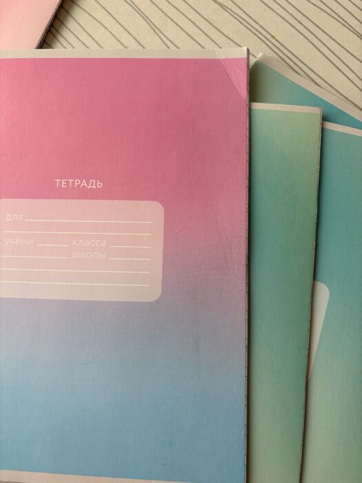 Фотография покупателя товара Тетрадь 12 листов в косую линейку, А5, на скрепке, блок №1 «Школьные принадлежности» МИКС - Фото 16