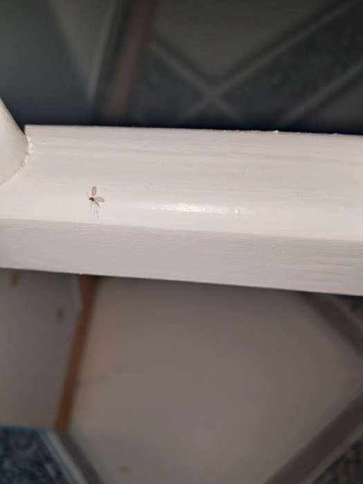 Фотография покупателя товара Кровать детская Desire, колесо-качалка, белый, 1200×600 - Фото 19