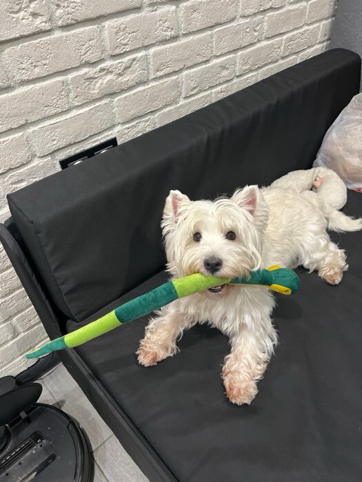 Фотография покупателя товара Мягкая игрушка «Змея», 61 см, МИКС - Фото 1