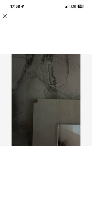 Фотография покупателя товара Шкаф прямой четырёхстворчатый «Фиеста», с зеркалом, 1600×510×2236 мм, цвет графит/дуб крафт белый - Фото 28