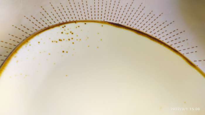 Фотография покупателя товара Блюдо фарфоровое для подачи Magistro «Церера», 20×18 см, цвет оранжевый - Фото 7