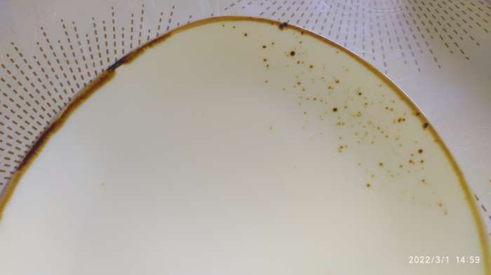 Фотография покупателя товара Блюдо фарфоровое для подачи Magistro «Церера», 20×18 см, цвет оранжевый - Фото 9