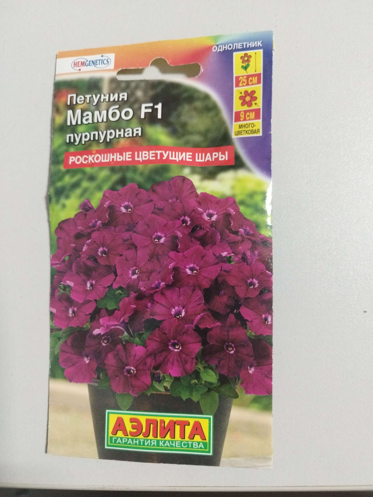 Фотография покупателя товара Семена цветов Петуния «Мамбо», F1, пурпурная, многоцветковая, 7 шт., «Аэлита» - Фото 34