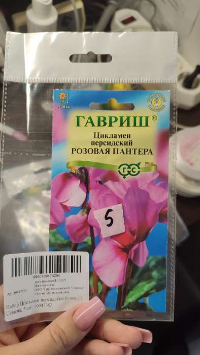 Фотография покупателя товара Набор семян Астра карлик «Рондо», смесь, 100 семян - Фото 1