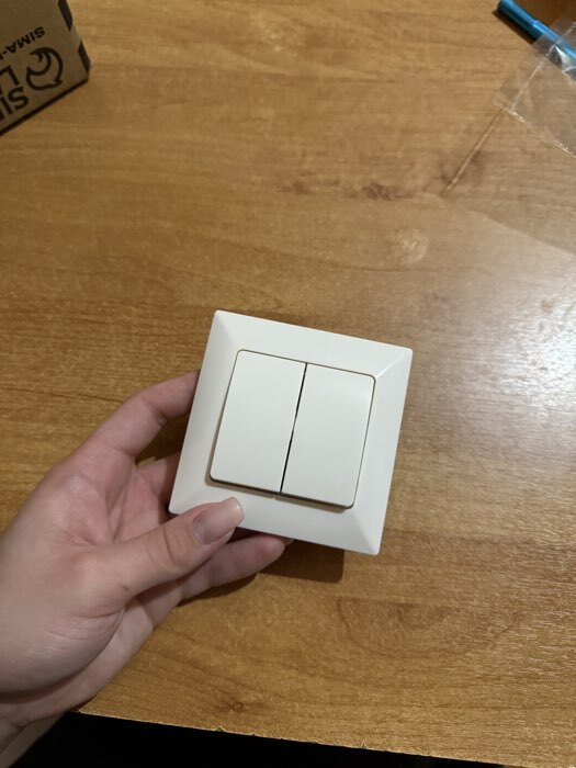 Фотография покупателя товара Выключатель Luazon Lighting «Антей», 10 А, 2 клавиши, скрытый монтаж, белый - Фото 1