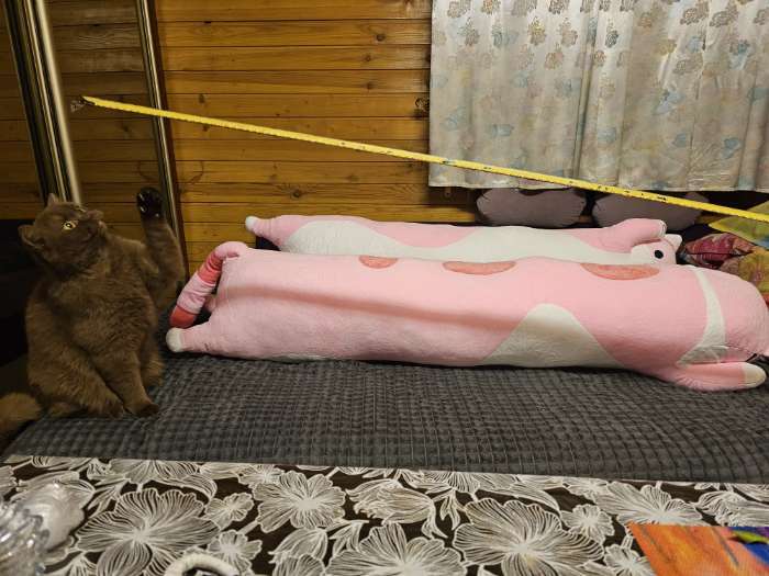 Фотография покупателя товара Мягкая игрушка-подушка «Котик», 130 см, цвет розовый - Фото 5