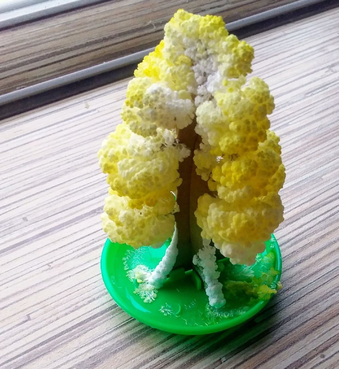 Фотография покупателя товара Набор для выращивания кристалла «Волшебное дерево» цвет жёлтый - Фото 13
