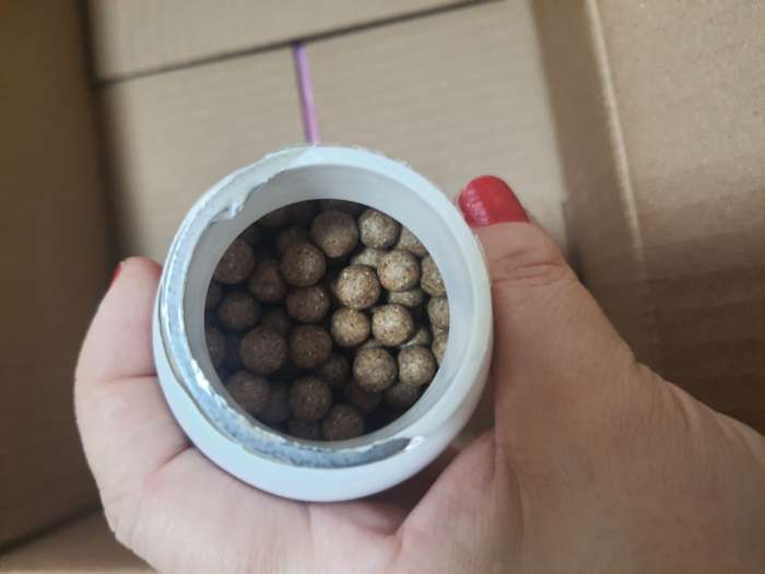 Фотография покупателя товара Драже «Таёжики», для здоровья ребёнка, 140 г - Фото 1