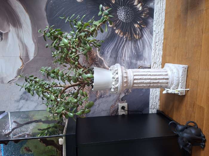 Фотография покупателя товара Колонна декоративная «Круглая средняя», 22×22×46 см, состаренная - Фото 1