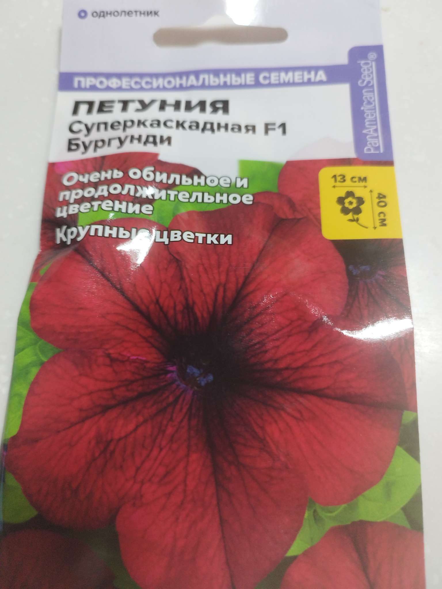 Фотография покупателя товара Семена цветов Петуния Суперкаскадная «Бургунди», F1, 7 шт., «Семена Алтая» - Фото 1