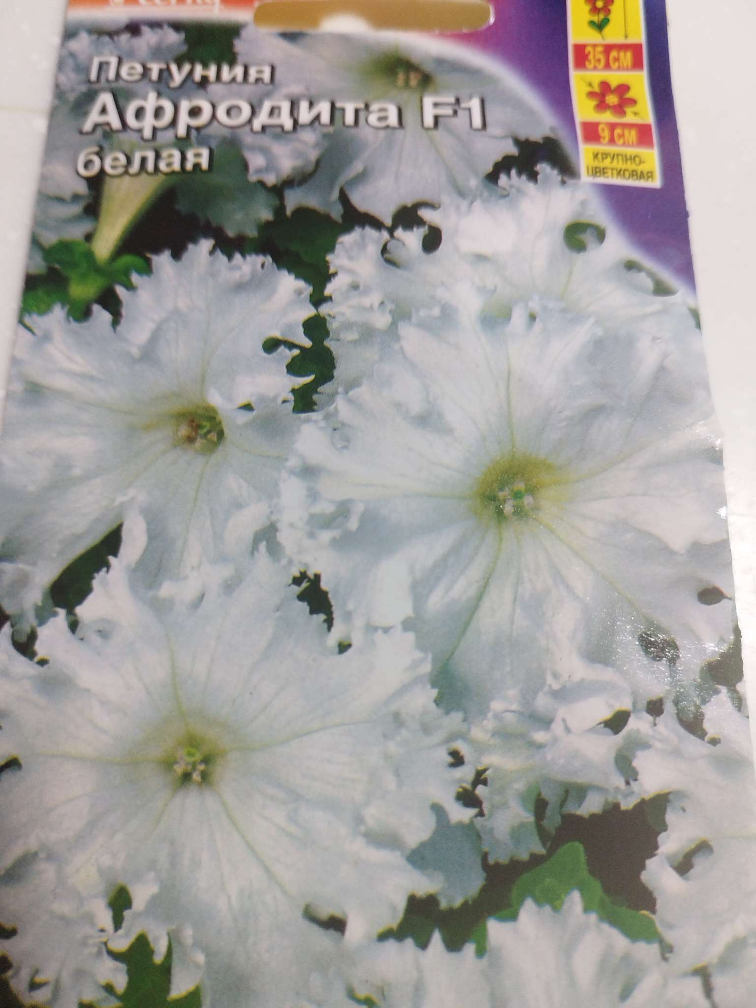 Фотография покупателя товара Семена цветов Петуния «Афродита», F1, белая, крупноцветковая, 7 шт., «Аэлита» - Фото 1