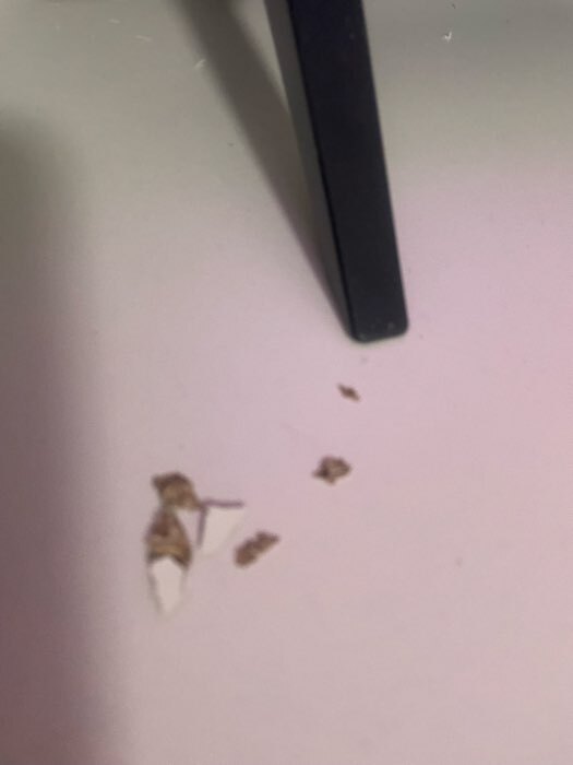 Фотография покупателя товара Шкаф прямой двухстворчатый «Дуэт», 2 ящика, 800×480×2200 мм, цвет белый - Фото 129