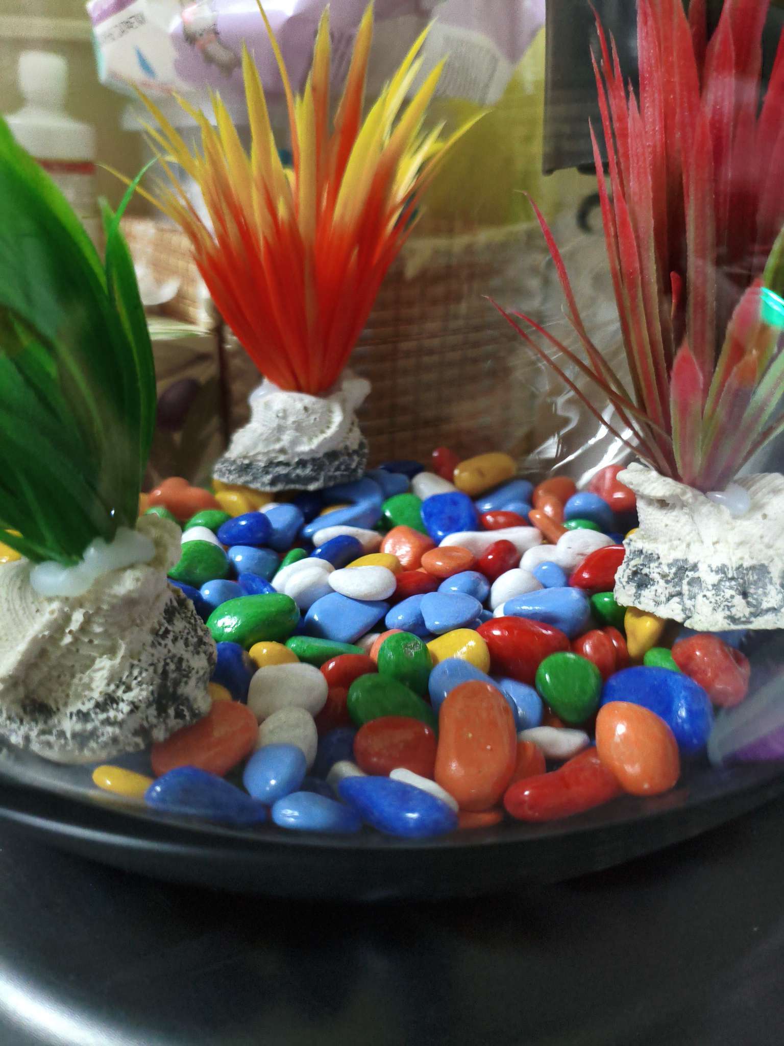 Фотография покупателя товара Грунт для аквариума DECOR DE «Галька цветная», фр. 8-12 мм, белый-синий-красный, 800 г - Фото 1