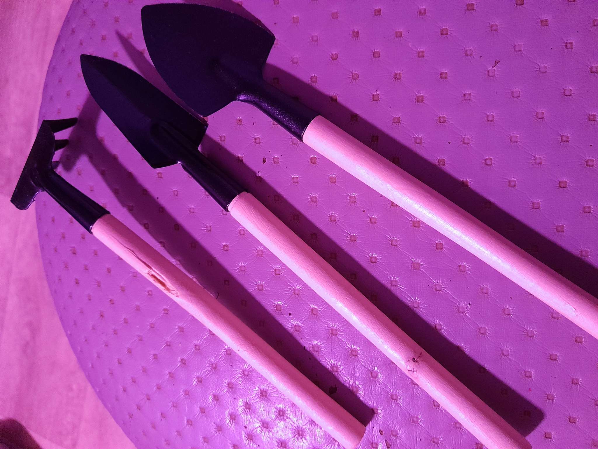 Фотография покупателя товара Набор садового инструмента для комнатных растений, 3 предмета: грабли, 2 лопатки, длина 24 см, деревянные ручки, Greengo - Фото 2