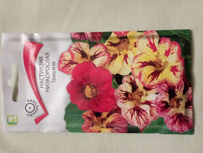 Фотография покупателя товара Семена цветов Настурция низкорослая Танец огня, 1гр - Фото 2