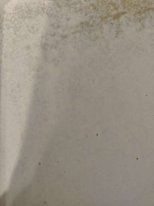 Фотография покупателя товара Мёд светлый алтайский разнотравье цветочный, куботейнер 15 кг - Фото 1