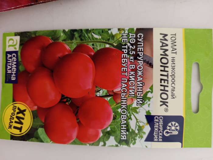 Фотография покупателя товара Семена Томат «Мамонтенок», детерминантный, низкорослый, 5 шт., «Семена Алтая» - Фото 1