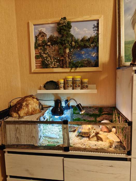 Фотография покупателя товара Планшет деревянный, 50×70×2 см, ДВП - Фото 1