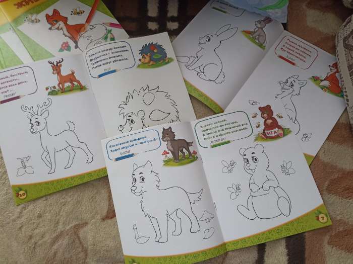 Фотография покупателя товара Раскраска детская «Лесные животные», 12 стр. - Фото 2