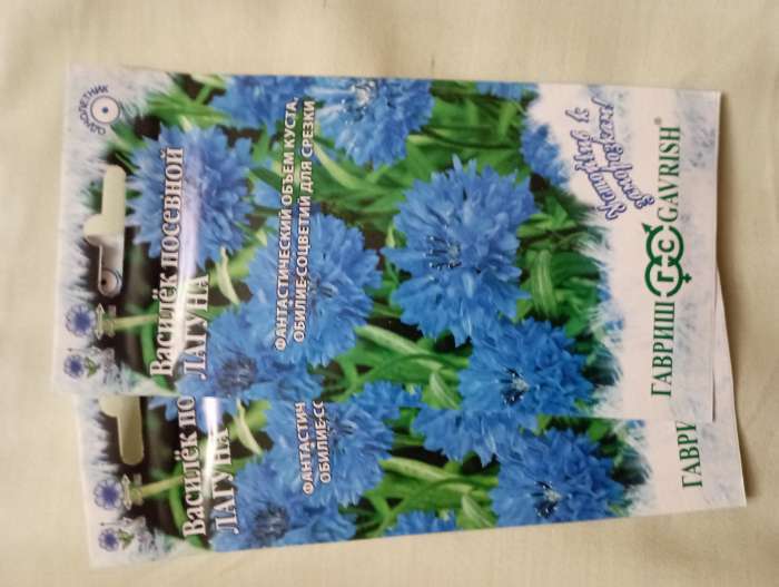 Фотография покупателя товара Семена цветов Василек "Лагуна", ц/п, 0,2 г - Фото 2