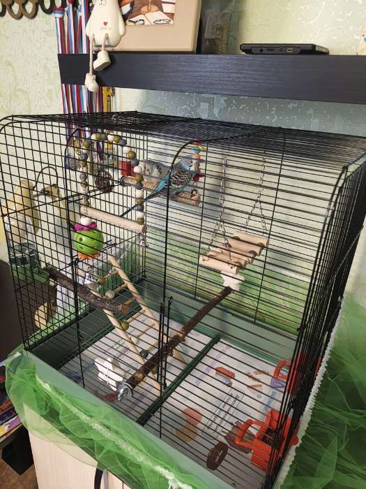 Фотография покупателя товара Клетка «Грация», 49×36×51 см, 3 яруса, цвет МИКС - Фото 2