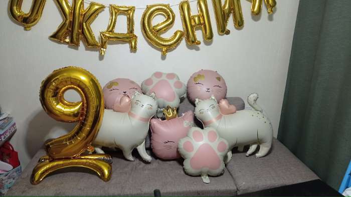 Фотография покупателя товара Воздушные шары «Кошечка с бантом», набор 5 шт. - Фото 1