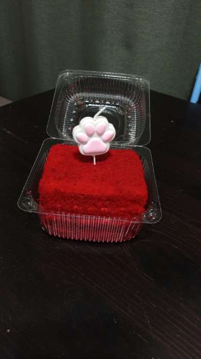 Фотография покупателя товара Свеча для торта на шпажке «Лапка - сквиш», бело-черная - Фото 1