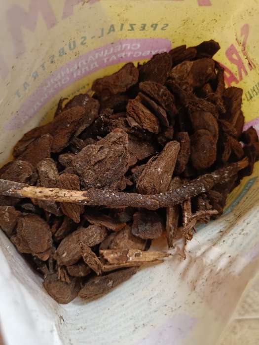 Фотография покупателя товара Субстрат для орхидей Seramis 2,5 л - Фото 2