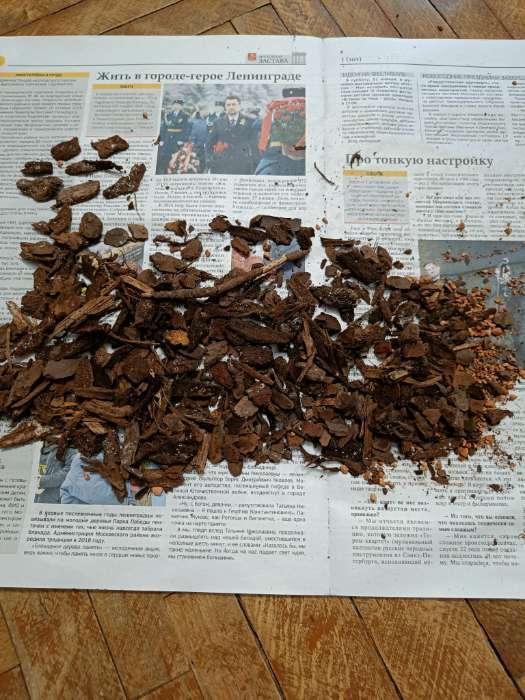 Фотография покупателя товара Субстрат для орхидей Seramis 2,5 л - Фото 6