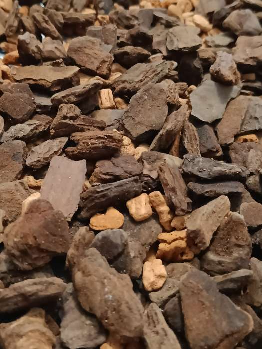 Фотография покупателя товара Субстрат для орхидей Seramis 2,5 л - Фото 8