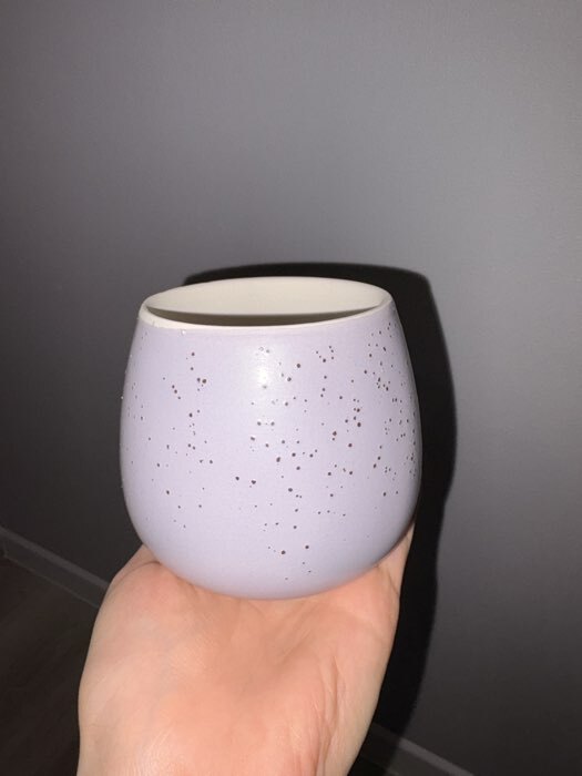 Фотография покупателя товара Горшок для цветов «Нежность», керамический, 0.35 л, МИКС - Фото 1