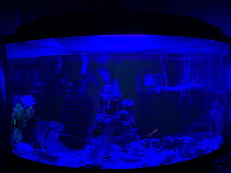 Фотография покупателя товара Светильник подводный, JINGYE, 26 см, 3,5 Вт, розовый - Фото 2
