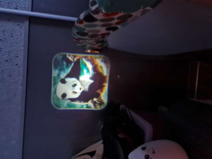 Фотография покупателя товара Проектор-фонарик «Забавные животные» 2 в 1, цвета МИКС