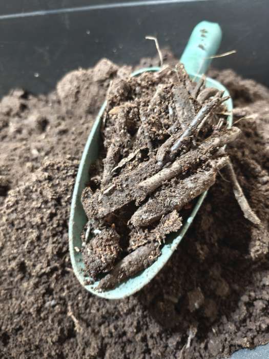 Фотография покупателя товара Грунт цветочный «Рецепты Дедушки Никиты», 40 л - Фото 15