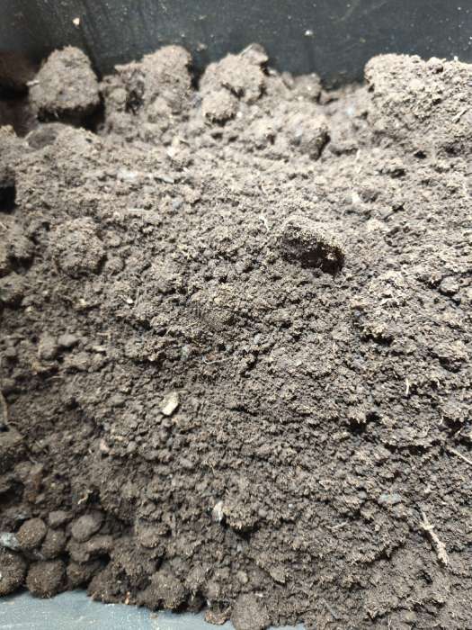 Фотография покупателя товара Грунт цветочный «Рецепты Дедушки Никиты», 40 л - Фото 16