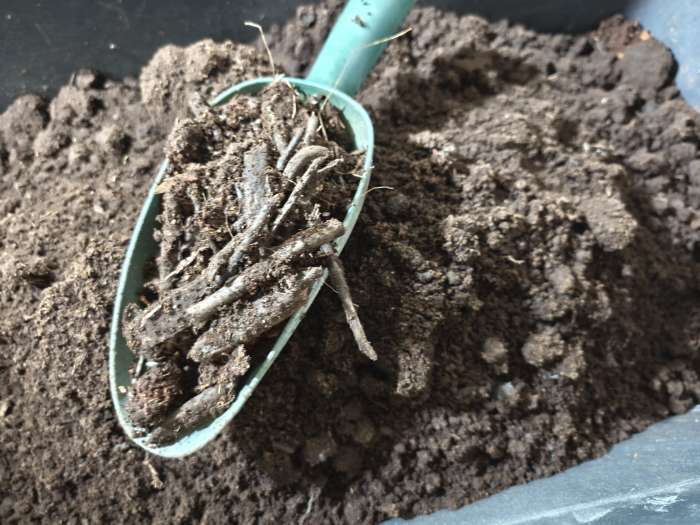 Фотография покупателя товара Грунт цветочный «Рецепты Дедушки Никиты», 40 л - Фото 13