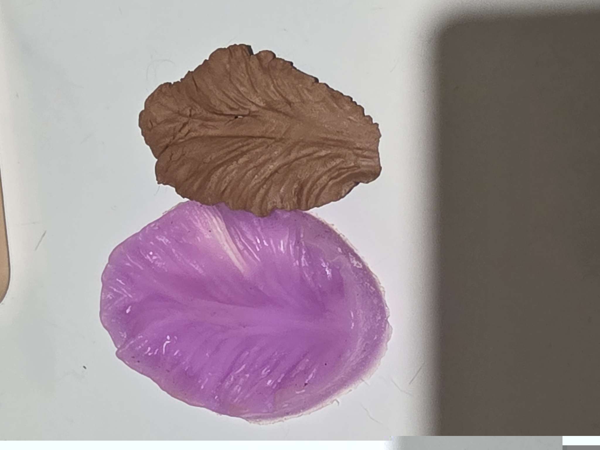 Фотография покупателя товара Молд кондитерский «Лист гортензии», силикон, 2 части, 4×2.5 см, МИКС - Фото 1