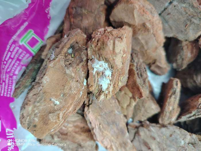 Фотография покупателя товара Кора ангарской сосны «Люкс», 2 л. - Фото 3