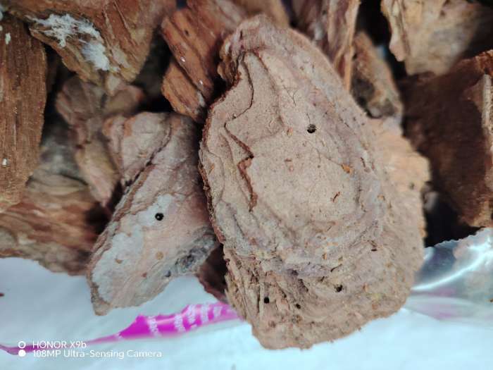 Фотография покупателя товара Кора ангарской сосны «Люкс», 2 л. - Фото 4