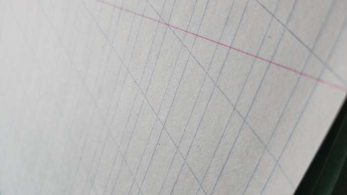 Фотография покупателя товара Тетрадь 12 листов в косую линейку «Зелёная обложка», бумажная обложка, серые листы, плотность 58-63 г/м² - Фото 9