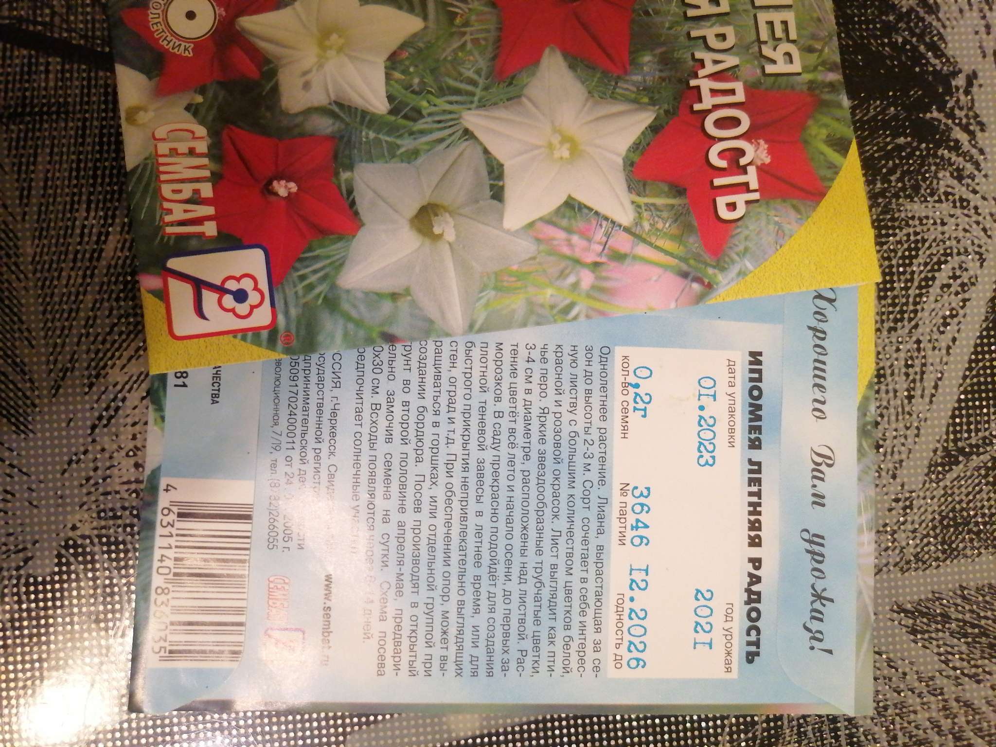 Фотография покупателя товара Семена цветов Ипомея "Летняя радость", О, 0,2 г - Фото 2