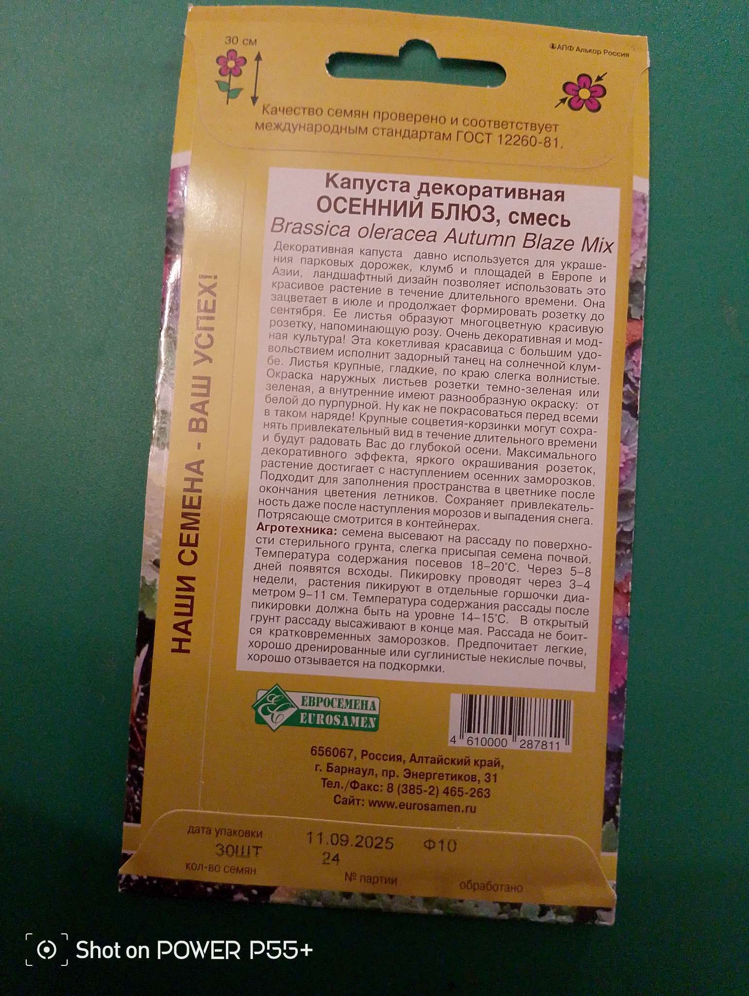 Фотография покупателя товара Семена цветов Капуста декоративная «Осенний блюз», смесь, 30 шт., «Евросемена» - Фото 1