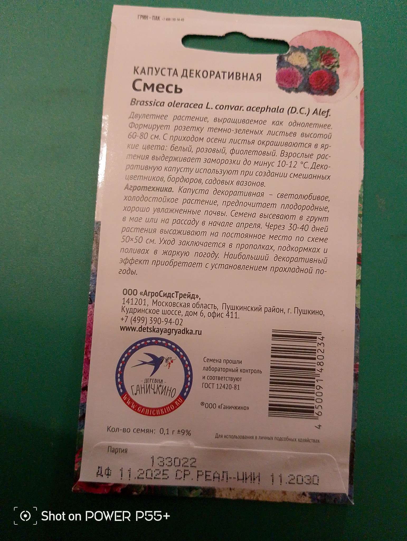 Фотография покупателя товара Семена Цветов Капуста декоративная «Смесь», 0.1 г, «Агросидстрейд» - Фото 1