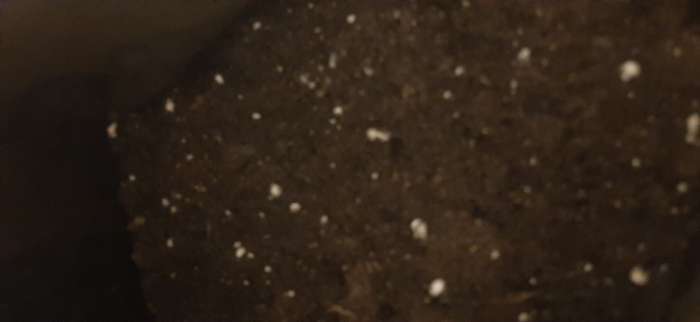 Фотография покупателя товара Грунт для Рассады PETER PEAT, линия «Хобби», 5 л - Фото 2