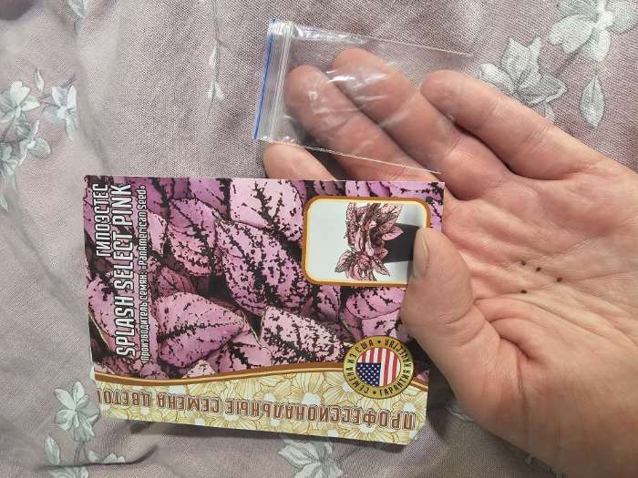 Фотография покупателя товара Семена цветов Гипоэстес Сплэш Select Pink (PanAmerican Seed) 4шт. 12.29 г. - Фото 1