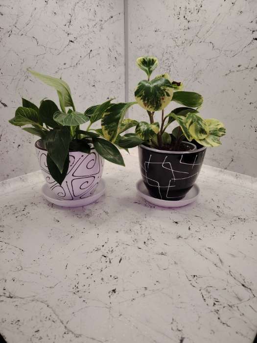 Фотография покупателя товара Горшок для цветов «Иллюзия», керамический, с поддоном, белый, набор 4 шт. - Фото 2